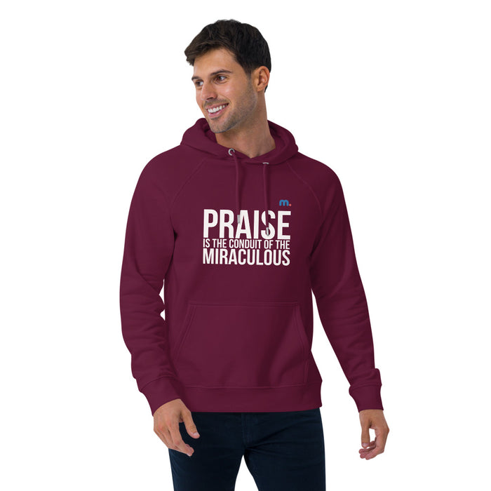 Praise Unisex Eco Raglan Hoodie