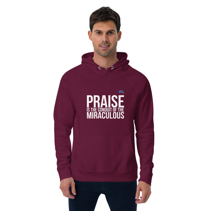 Praise Unisex Eco Raglan Hoodie
