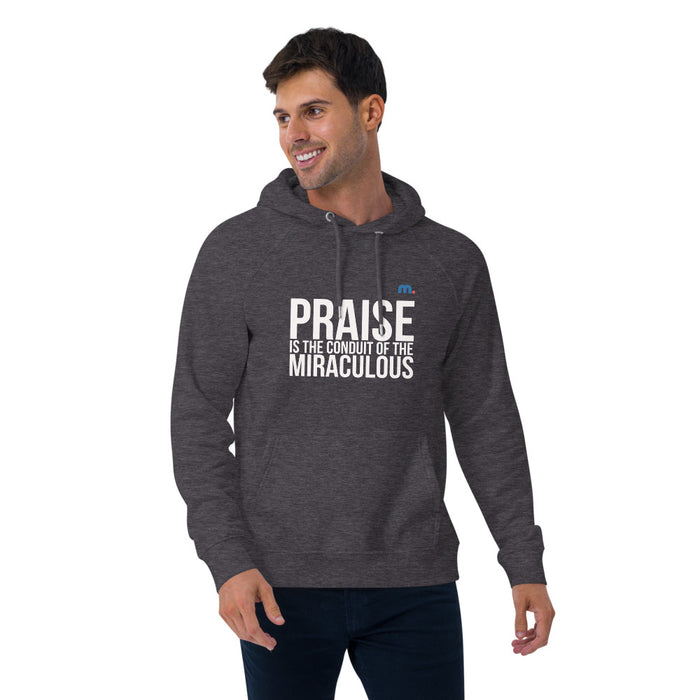 Praise Unisex Eco Raglan Hoodie