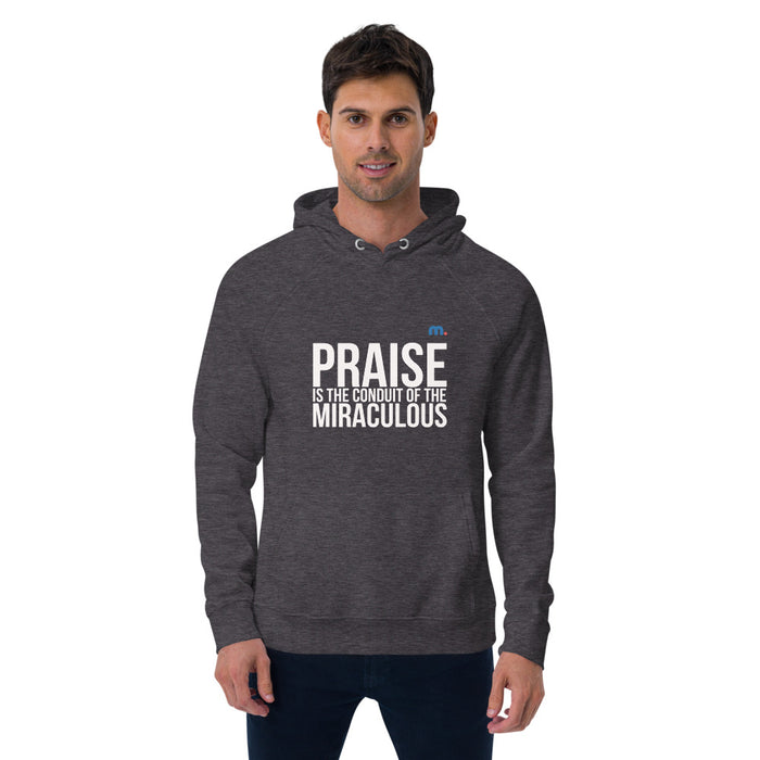 Praise Unisex Eco Raglan Hoodie