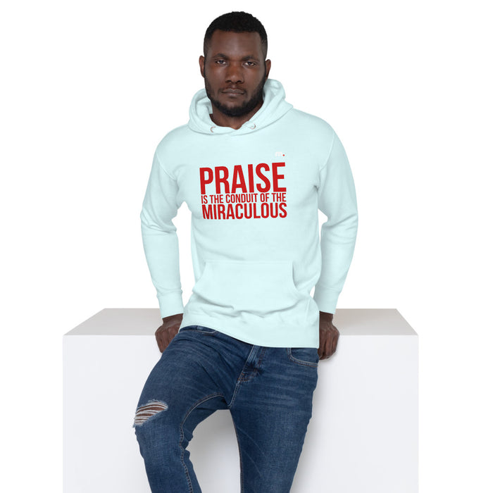 Praise Unisex Hoodie